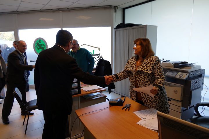 sede antral 51 Custom